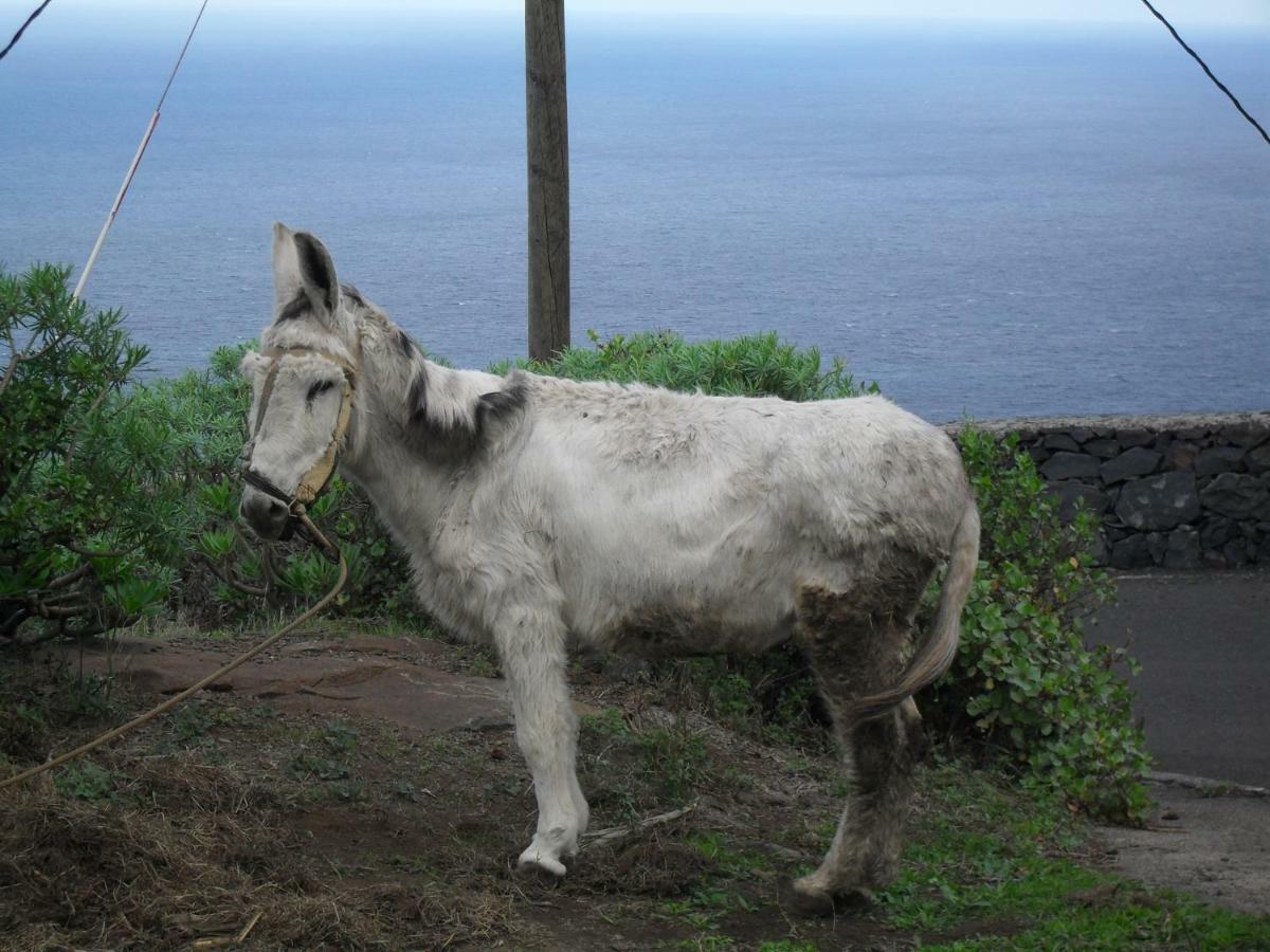 Casa Rural Arguamul Vallehermoso Dış mekan fotoğraf